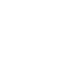 VIRTUAL PLATFORM BUSINESS SUMMIT